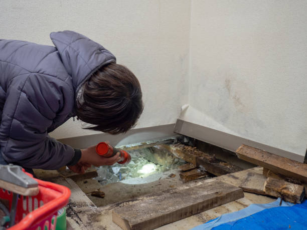 Best HVAC Mold Inspection and Cleaning  in Somerset, PA