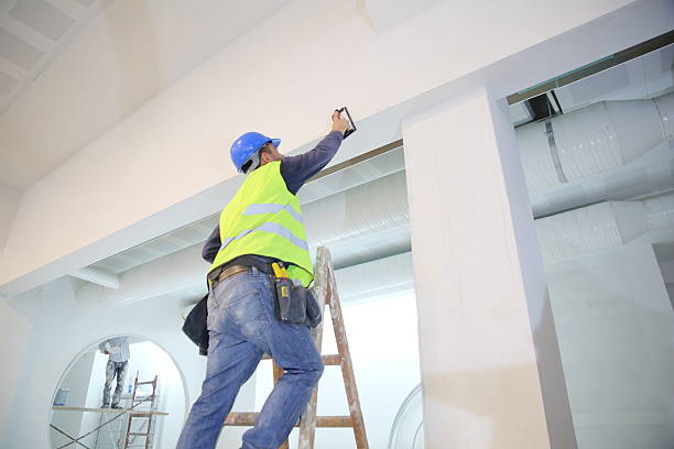 Best Mold Odor Removal Services  in Somerset, PA